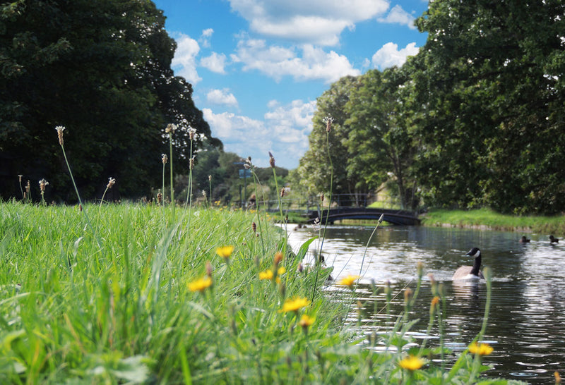 What’s our connection with the New River?